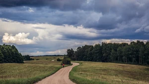 Najmniejsze wsie w Polsce. Liczba mieszkańców mocno zaskakuje!