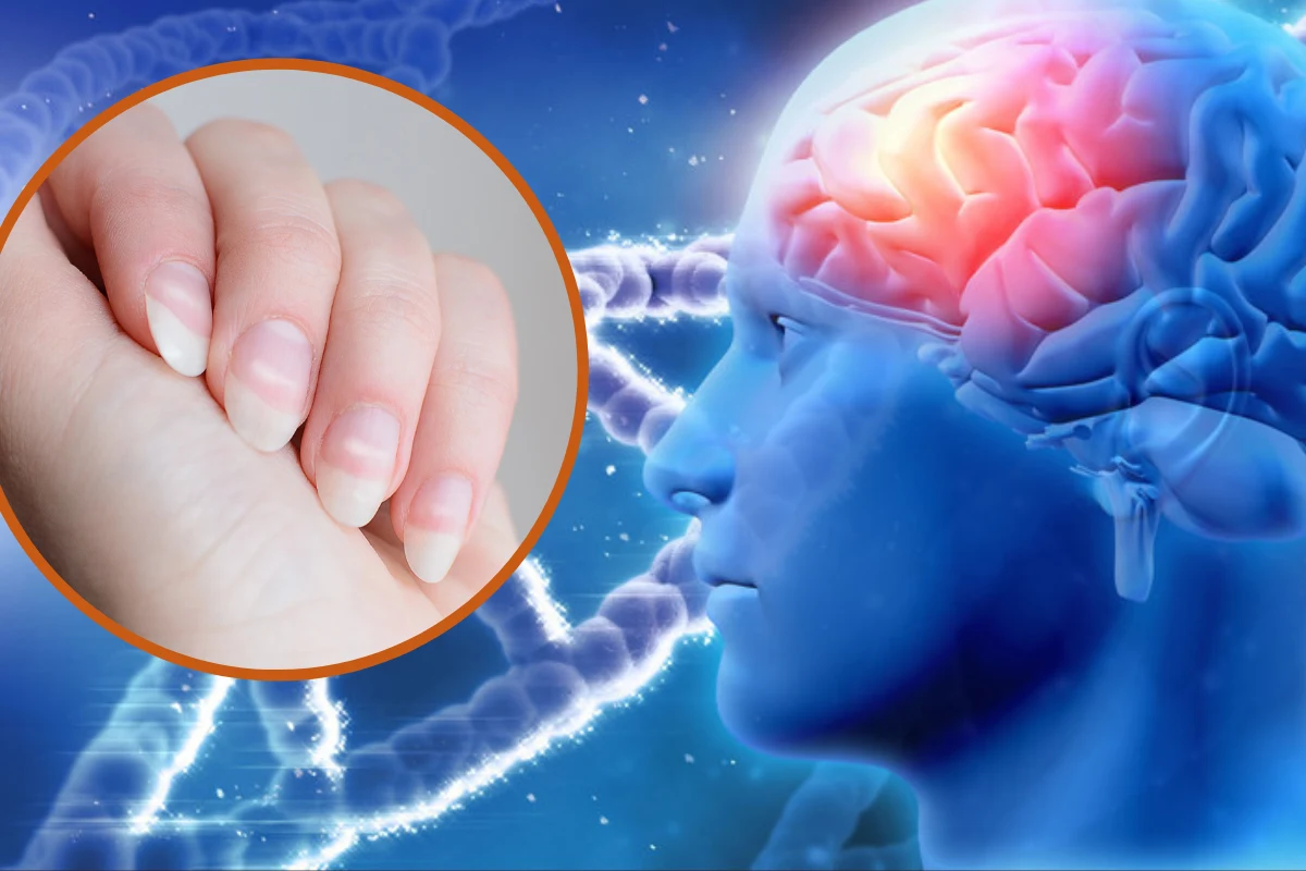 Poznaj niesamowite fakty o ludzkim ciele Poznaj niesamowite fakty o ludzkim ciele