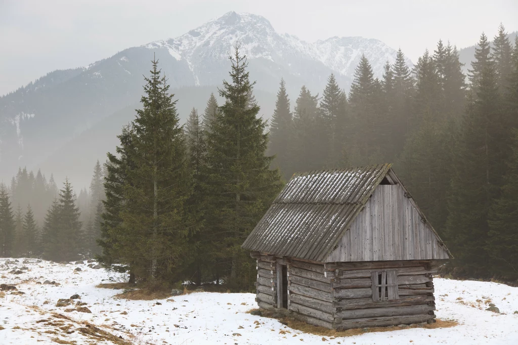 Dolina Chochołowska uchodzi za punkt obowiązkowy wycieczki w Tatry