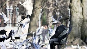 Nawet 500 zł dodatku do emerytury. Sprawdź, ile mogą zyskać seniorzy po 65. roku życia