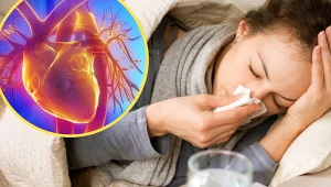 Zapalenie mięśnia sercowego w ponad 85 proc. jest powikłaniem po infekcji wirusowej, w tym grypie