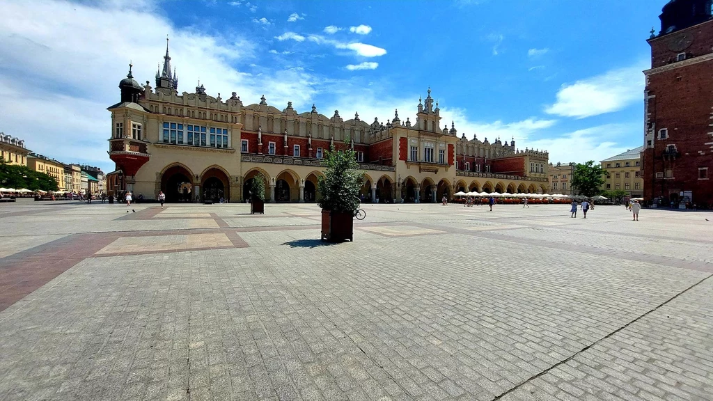Na krakowskim rynku staną drzewa w donice