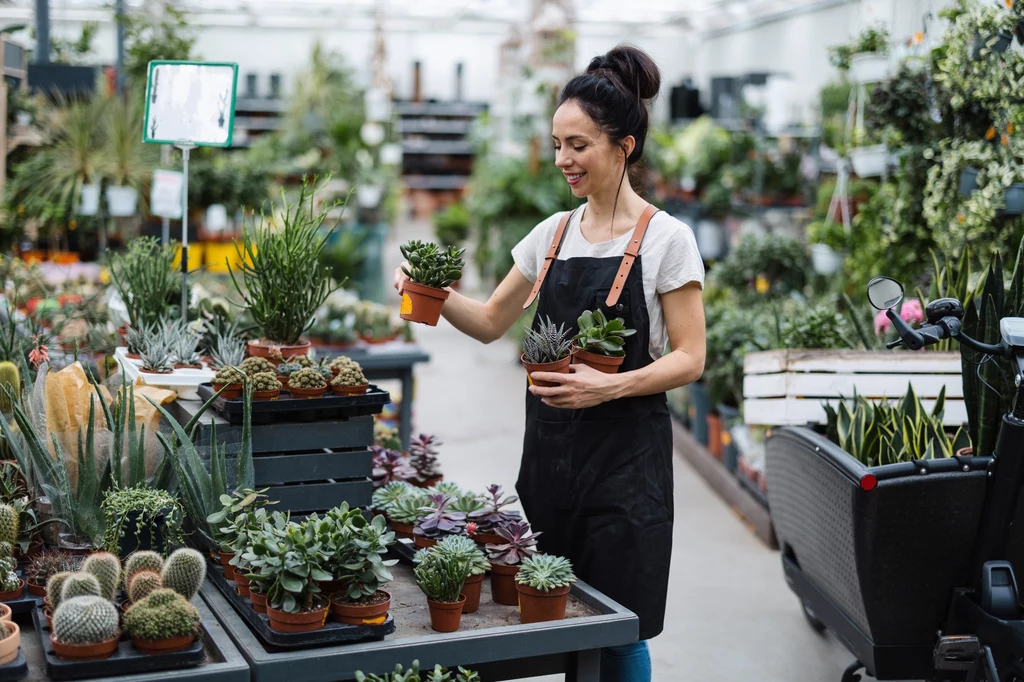 Uważajmy na zakup żywych roślin w marketach budowlanych.