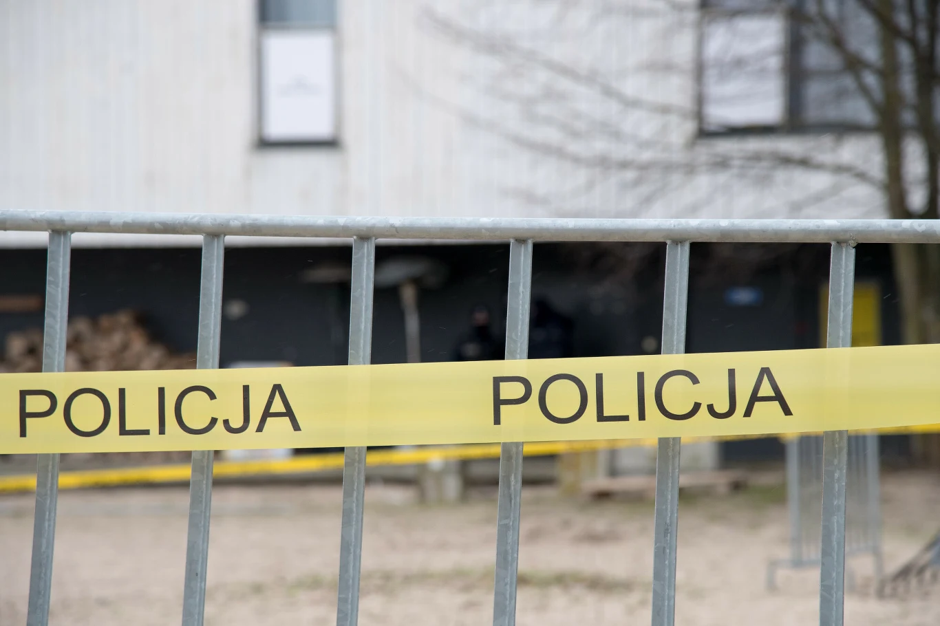 Przeszukiwania Zatoki Sztuki