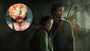 W "The Last of Us" grzyb zamienia ofiary w zombie. W polskich lasach też