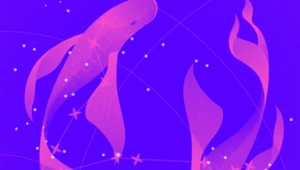 Horoskop na dziś: poniedziałek, 23 stycznia 2023. Księżyc wchodzi do Ryb