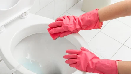 Poznaj naturalne sposoby na przywrócenie czystości w toalecie