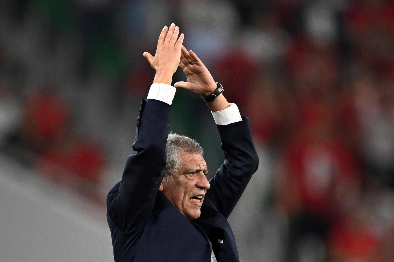 Fernando Santos