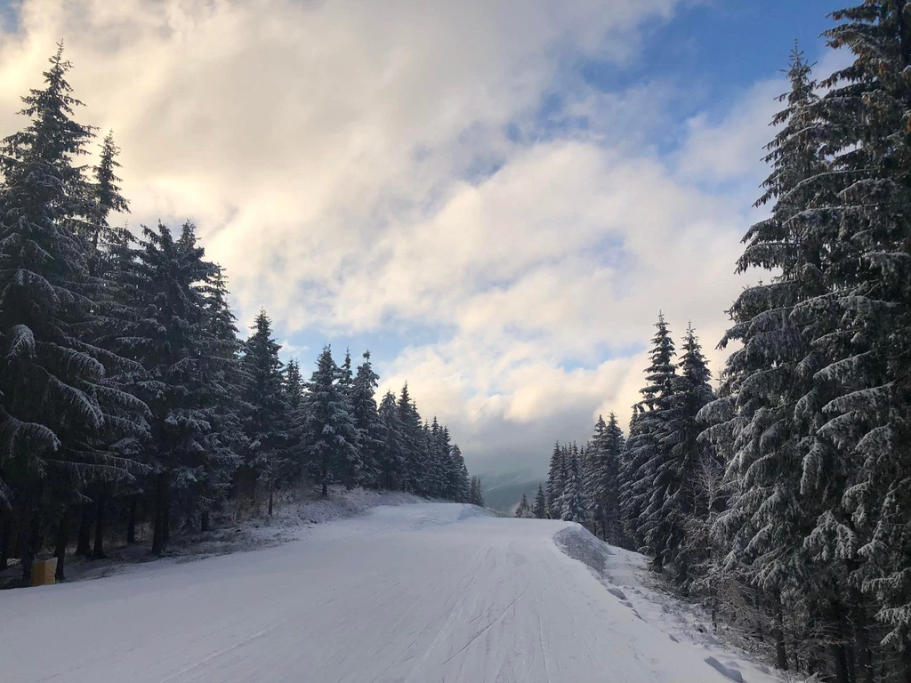 Blisko polskiej granicy znajduje się kilka ośrodków narciarskich. Na zdj.: Kouty nad Desnou