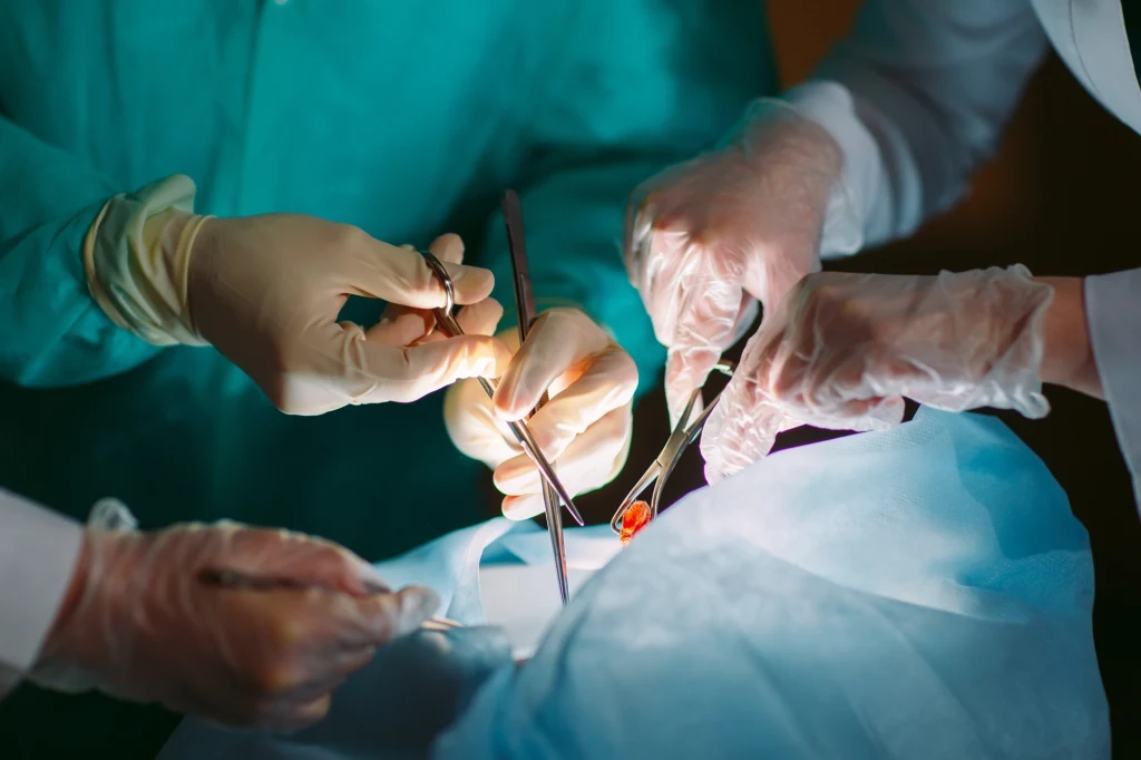 Ogólnopolski Dzień Transplantacji obchodzony jest 26 stycznia. Lekarz odpowiada na najczęściej zadawane pytania