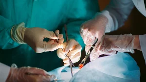 Ogólnopolski Dzień Transplantacji obchodzony jest 26 stycznia. Lekarz odpowiada na najczęściej zadawane pytania