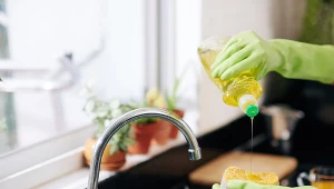 Który płyn do mycia naczyń jest najskuteczniejszy? Eksperci ocenili 