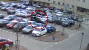 Małżeństwo "zaszalało" na parkingu. Zapomnieli, że są w oku kamer