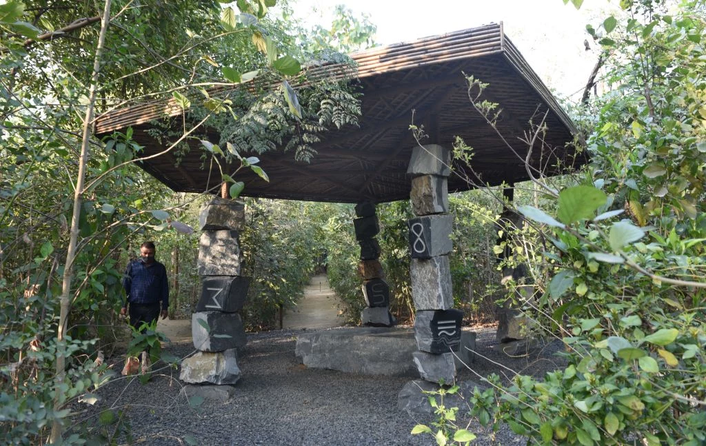 Las odbudowany w stylu Miyawaki w Delhi