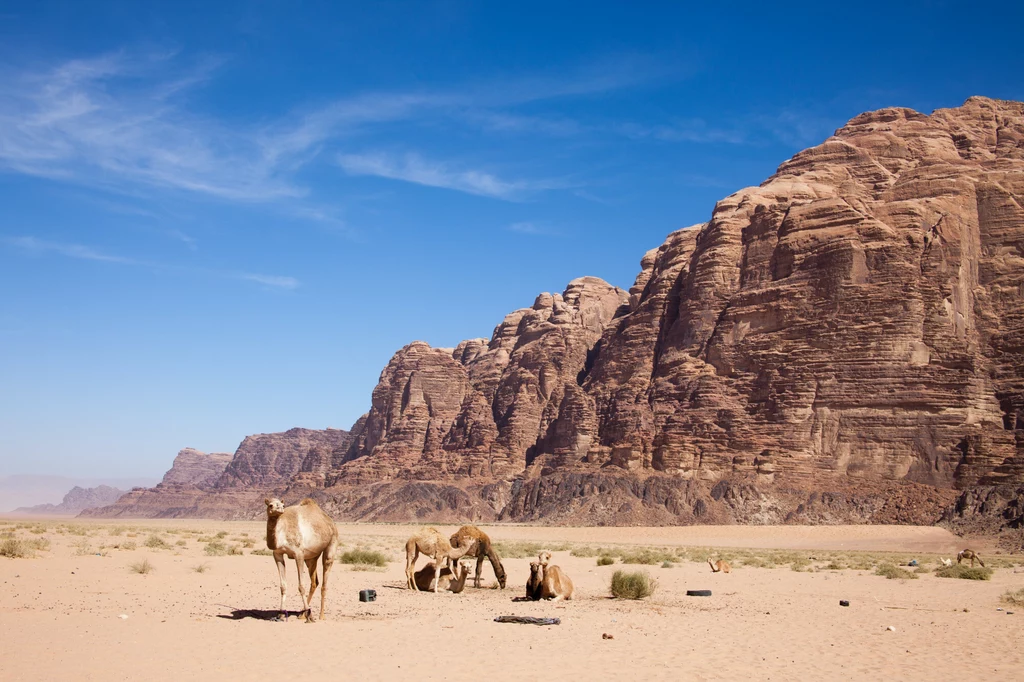 Pustynia Wadi Rum spodobała się także Katarzynie Cichopek