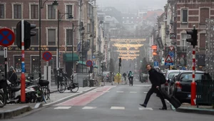Przy uwzględnieniu pochodzenia i narodowości stopa zatrudnienia wśród Polaków w Belgii jest wyższa niż wśród rodowitych Belgów