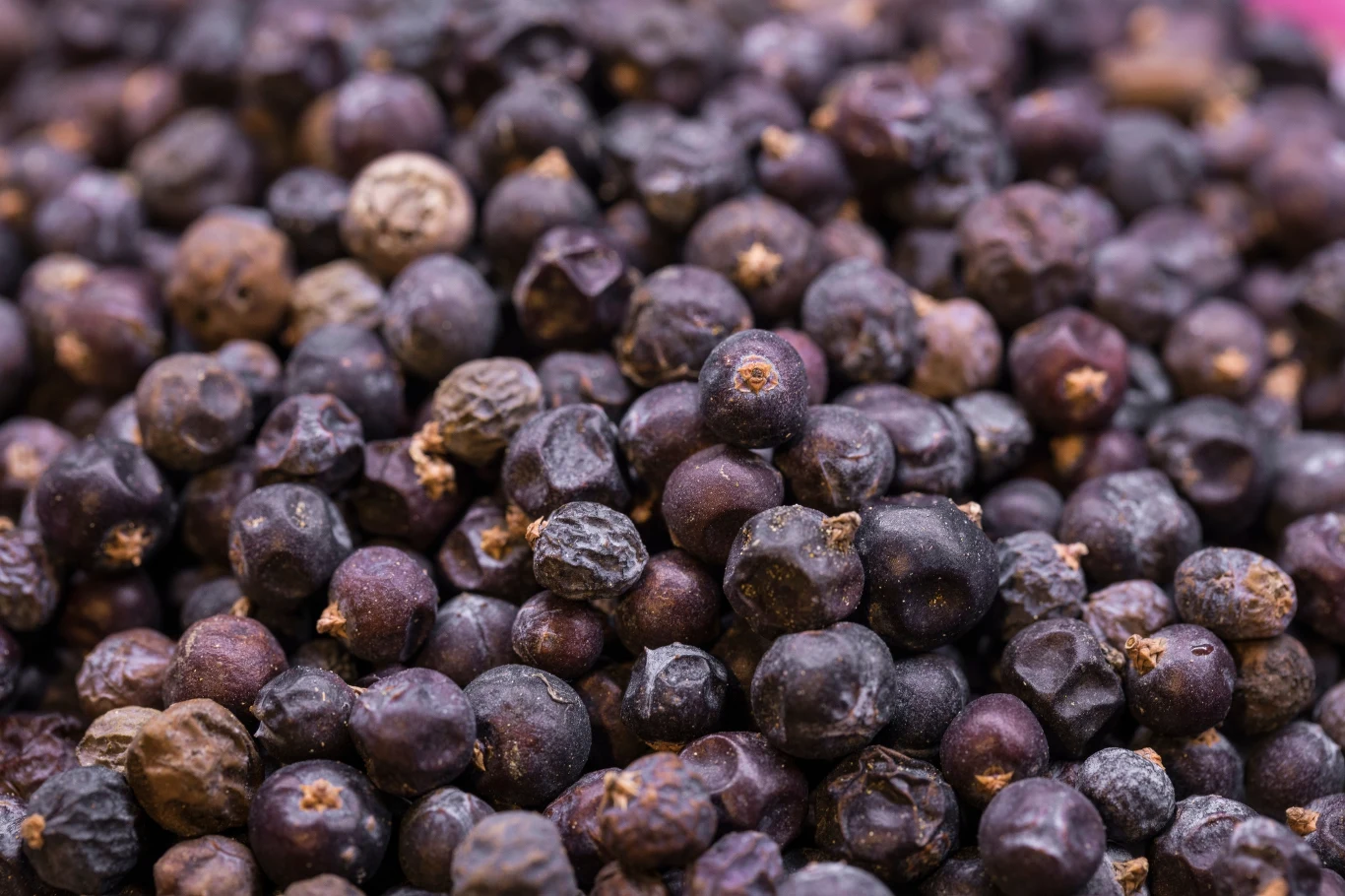 Kuchnia staropolska nie mogła się obejść bez owoców jałowca