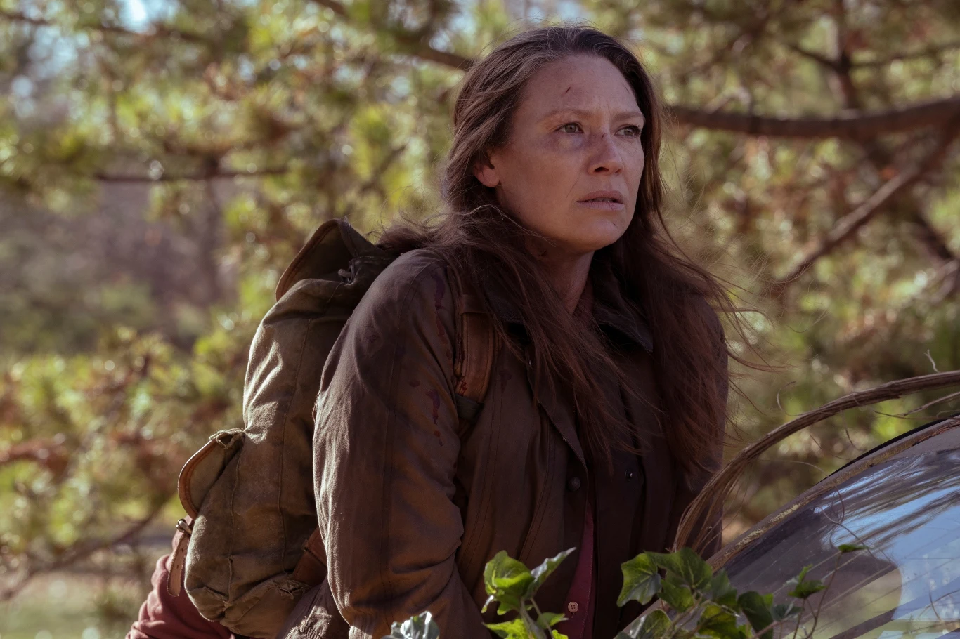 The Last of Us (serial) The Last of Us (serial)