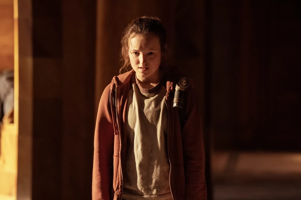 The Last of Us (serial) The Last of Us (serial)