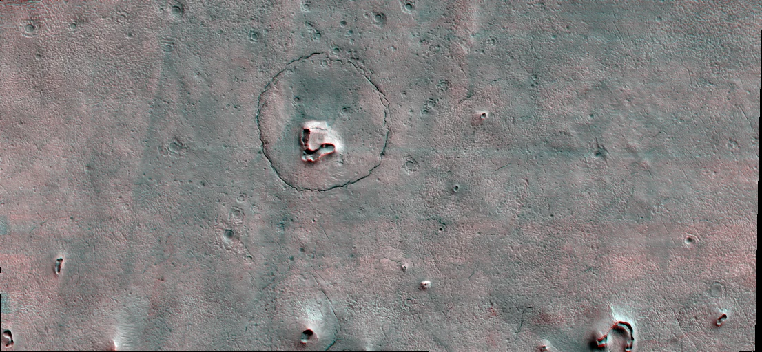 Zdjęcie niedźwiadka w "3D" Zdjęcie niedźwiadka w "3D"