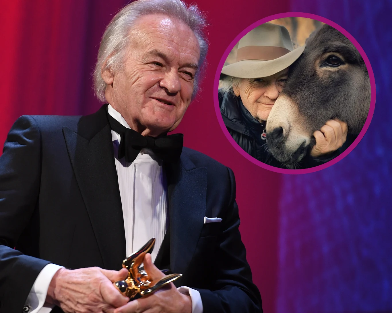 Osiołek, który zagrał z "IO" pochodzi z Polski! Osiołek, który zagrał z "IO" pochodzi z Polski!