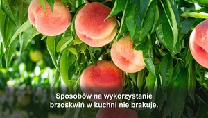 "Na zdrowie". Brzoskiwnie