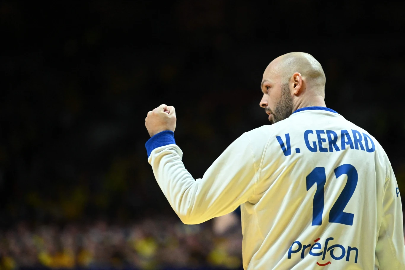 Vincent Gerard - jeden z bohaterów reprezentacji Francji w piątkowy wieczór
