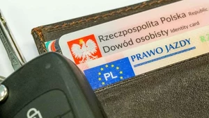 Dodatkowe uprawnienia dla kierowców. Bez kursu, ale trzeba za nie zapłacić