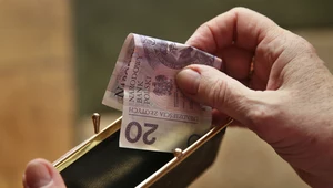 Niezwykły szczegół na 20 złotowym banknocie. Zauważyłeś?