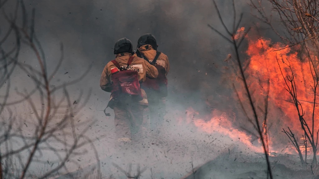 Amerykańscy naukowcy ostrzegają, że pożary lasów w znacznym stopniu przyczyniają się do przedwczesnych zgonów wśród ludzi