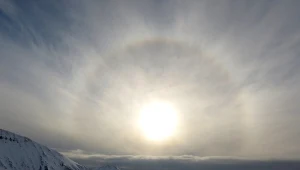 Efekt halo/Zdj. ilustracyjne