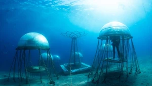 Ogród Nemo, czyli projekt podwodnego rolnictwa. Wybawienie dla Afryki?