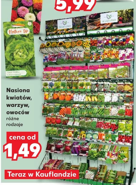 Nasiona kwiatów