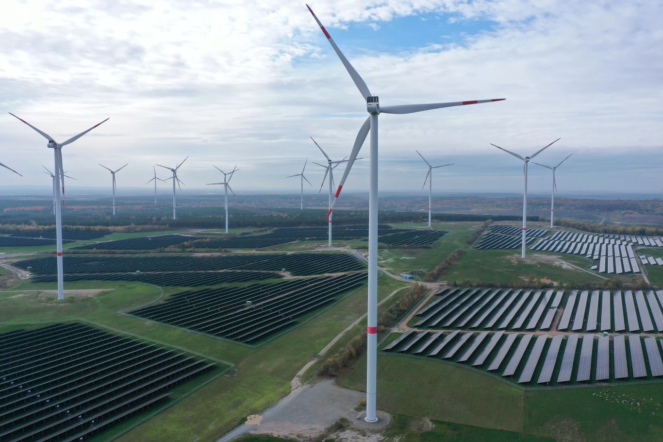 Mimo trwającego kryzysu energetycznego i zwiększonego zużycia węgla w Unii Europejskiej, w 2022 r. wiatraki i fotowoltaika przegoniły pod kątem produkcji energii gaz ziemny i węgiel Mimo trwającego kryzysu energetycznego i zwiększonego zużycia węgla w Unii Europejskiej, w 2022 r. wiatraki i fotowoltaika przegoniły pod kątem produkcji energii gaz ziemny i węgiel