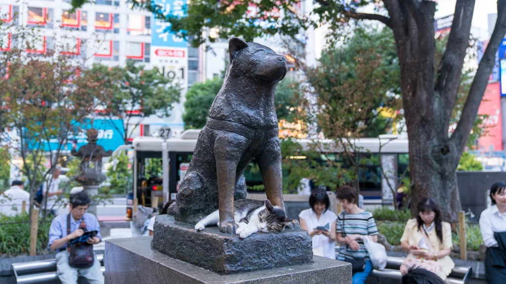 Pomnik Hachiko, Tokio