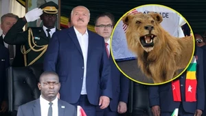 W Zimbabwe Łukaszenka otrzymał wypchanego lwa