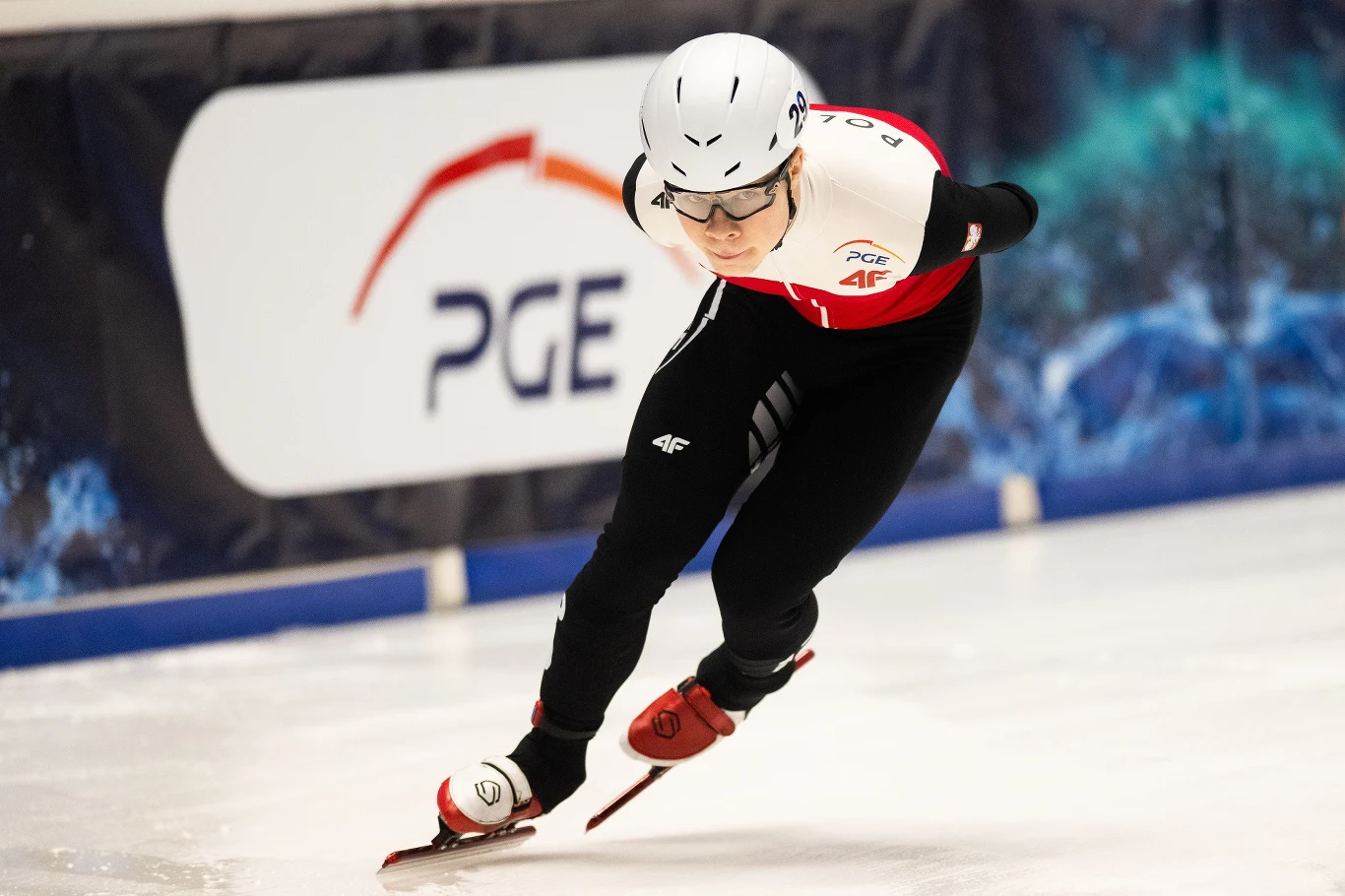 Michał Niewiński