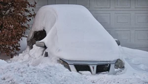 Wiele auto zostało zakopanych pod śniegiem.