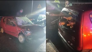 Kierowca może mówić o dużym szczęściu