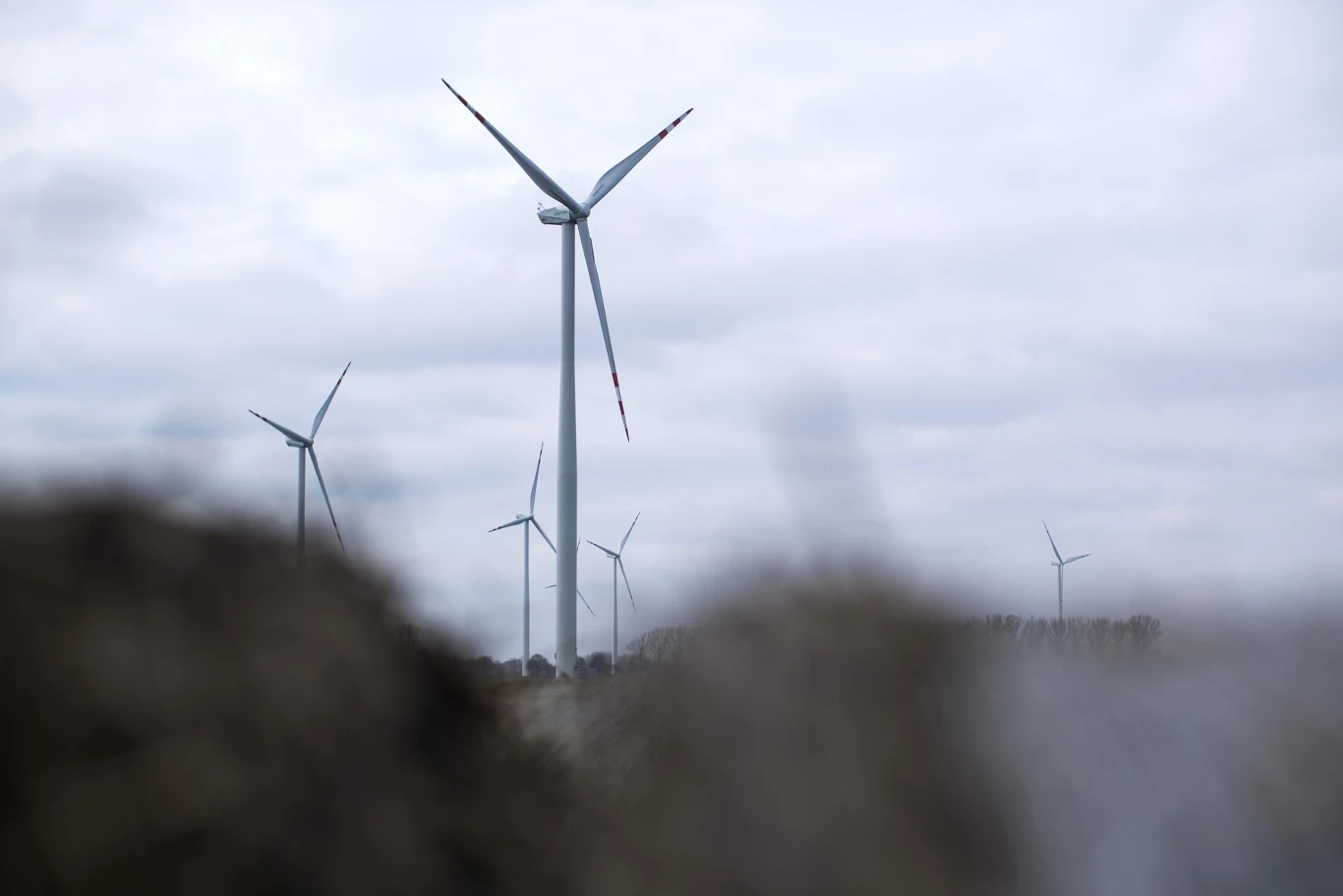 W środę rano turbiny wiatrowe generowały ponad 1/3 całej energii w Polsce W środę rano turbiny wiatrowe generowały ponad 1/3 całej energii w Polsce