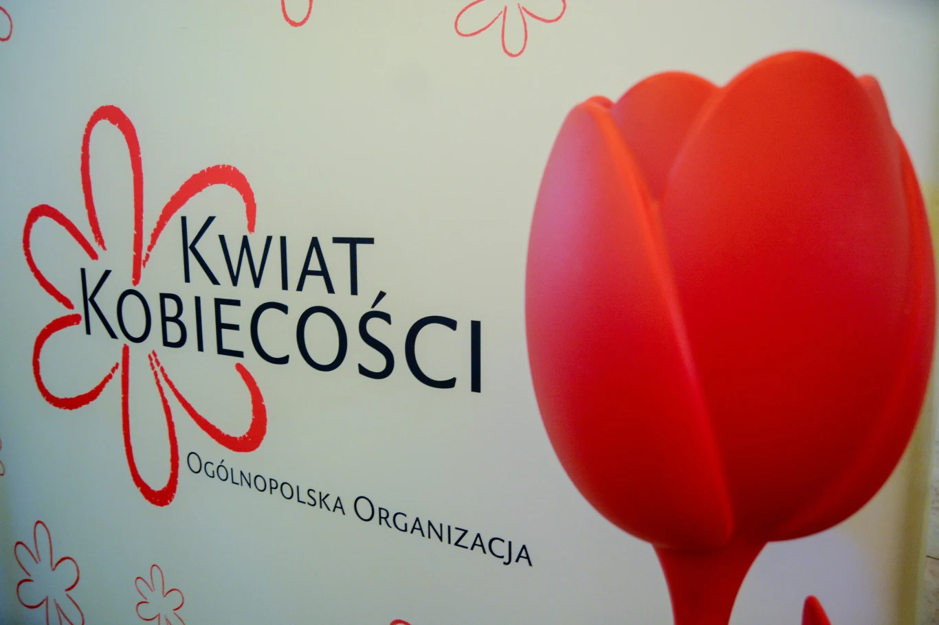 Logo organizacji "Kwiat kobiecości"