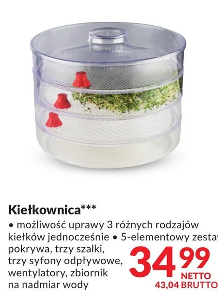 Kiełkownica