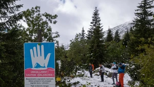 TPN zamknął wszystkie szlaki, niektórzy bagatelizują zakaz