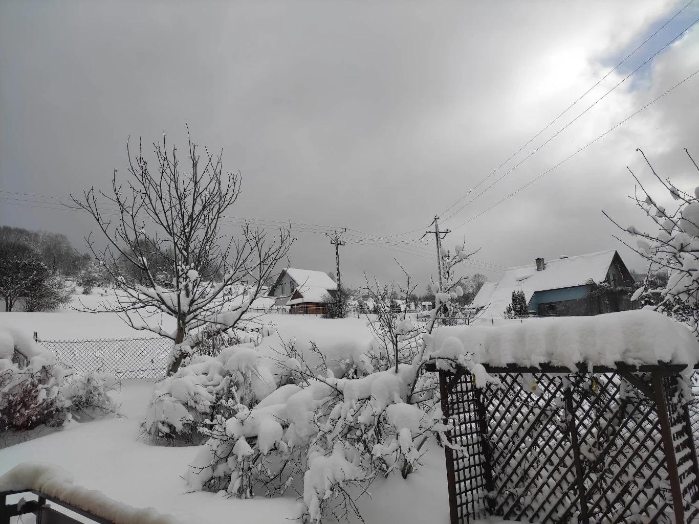 Ogród Natalii po śnieżycy