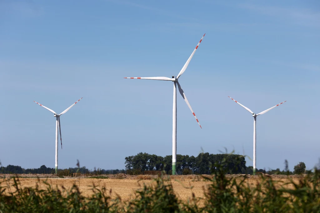 Energia wiatrowa może przynieść Polsce wiele korzyści jednocześnie