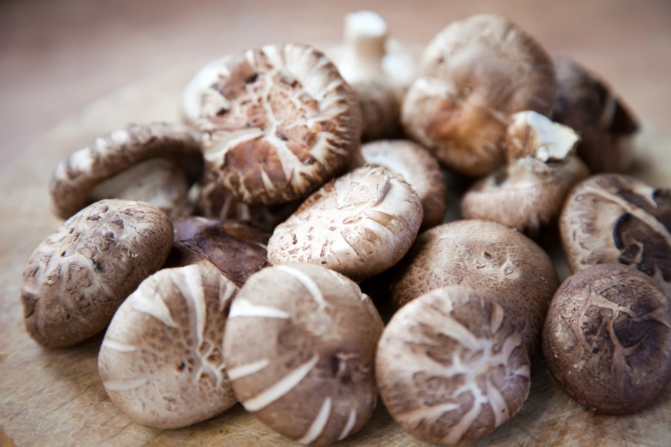 Grzyby shiitake przypominają może pieczarki, ale są o niebo zdrowsze