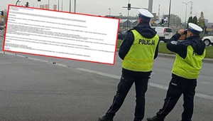 Kierowca Seata otrzymał mandat. Policjantom wysłał maila z podziękowaniami.