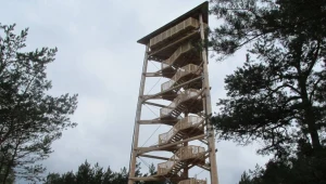 Wieża widokowa w Wolsztynie była miejscem igraszek dwóch par, co zarejestrowały kamery
