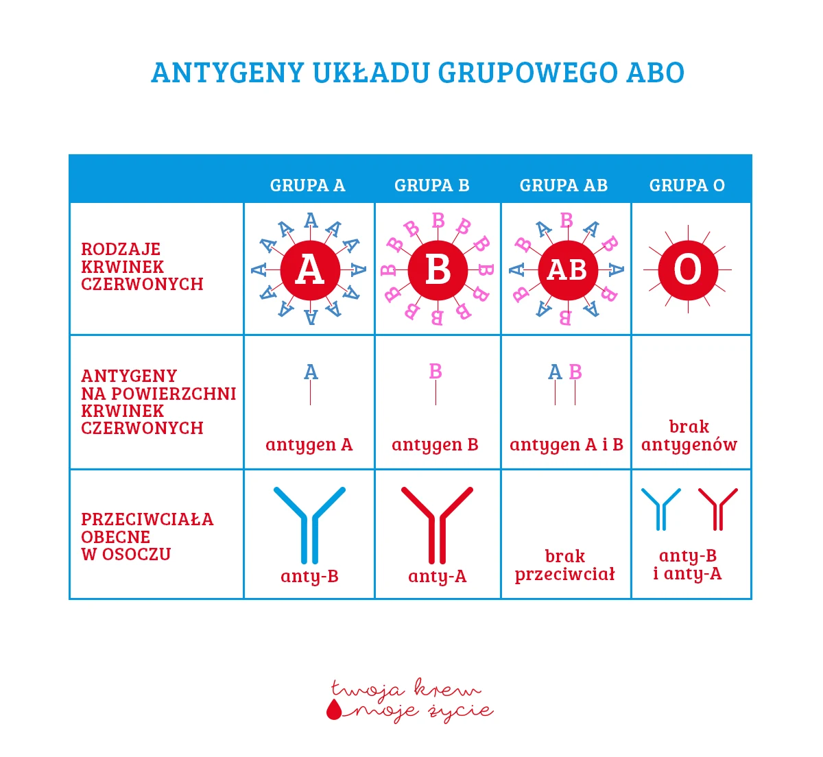 Antygeny układu grupowego AB0