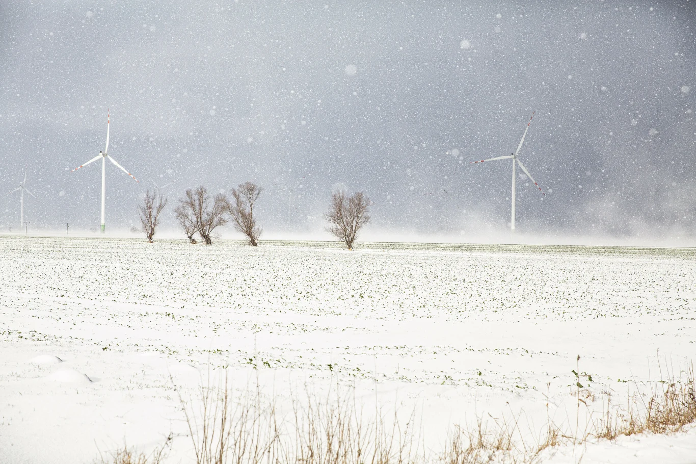 Eksperci sektora energetyki odnawialnej negatywnie oceniają nowelizację tzw. ustawy wiatrakowej Eksperci sektora energetyki odnawialnej negatywnie oceniają nowelizację tzw. ustawy wiatrakowej